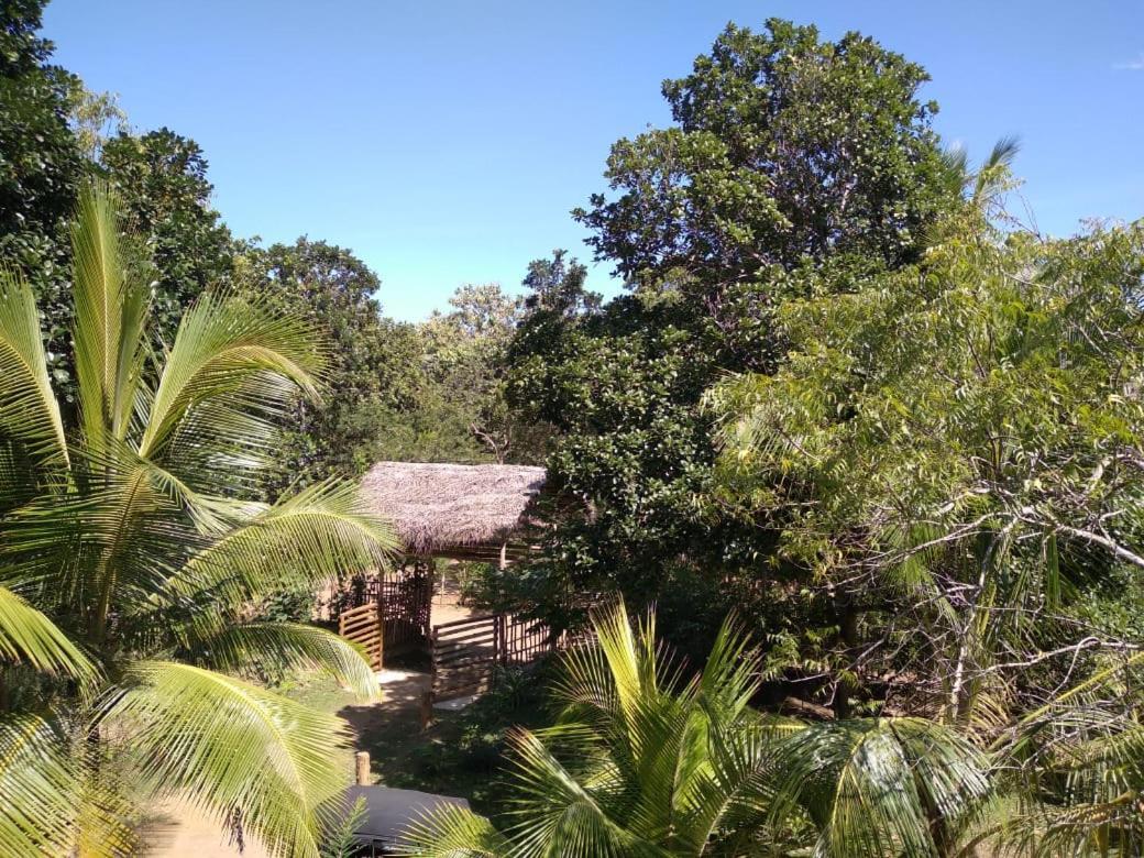 Home In The Island Tangalle Luaran gambar