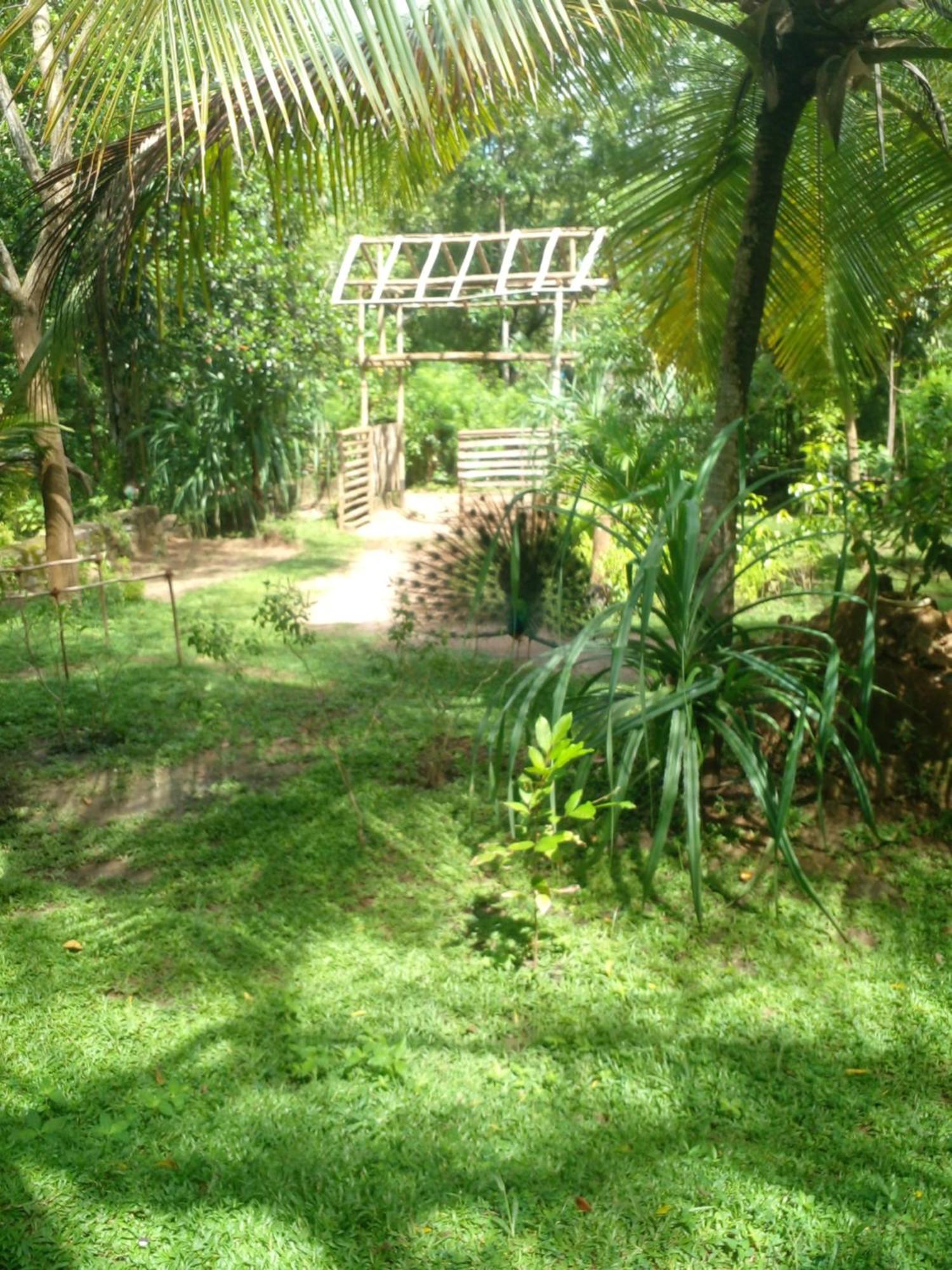 Home In The Island Tangalle Luaran gambar