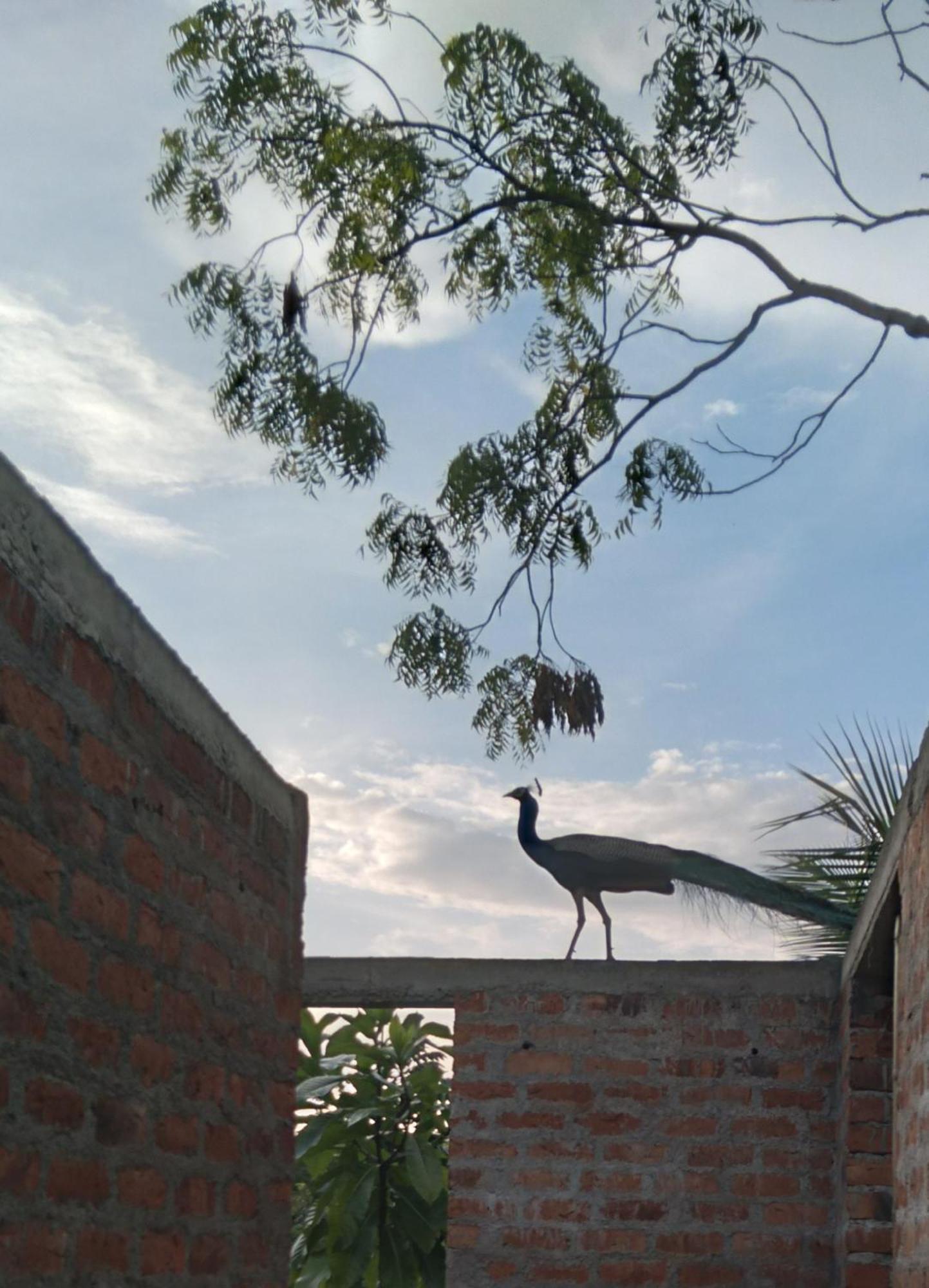 Home In The Island Tangalle Luaran gambar