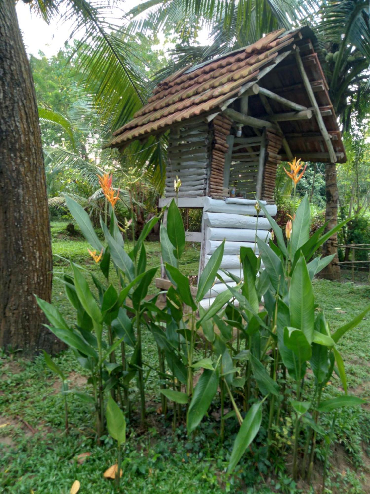 Home In The Island Tangalle Luaran gambar