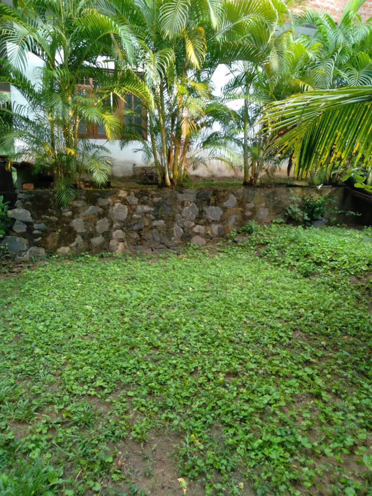 Home In The Island Tangalle Luaran gambar
