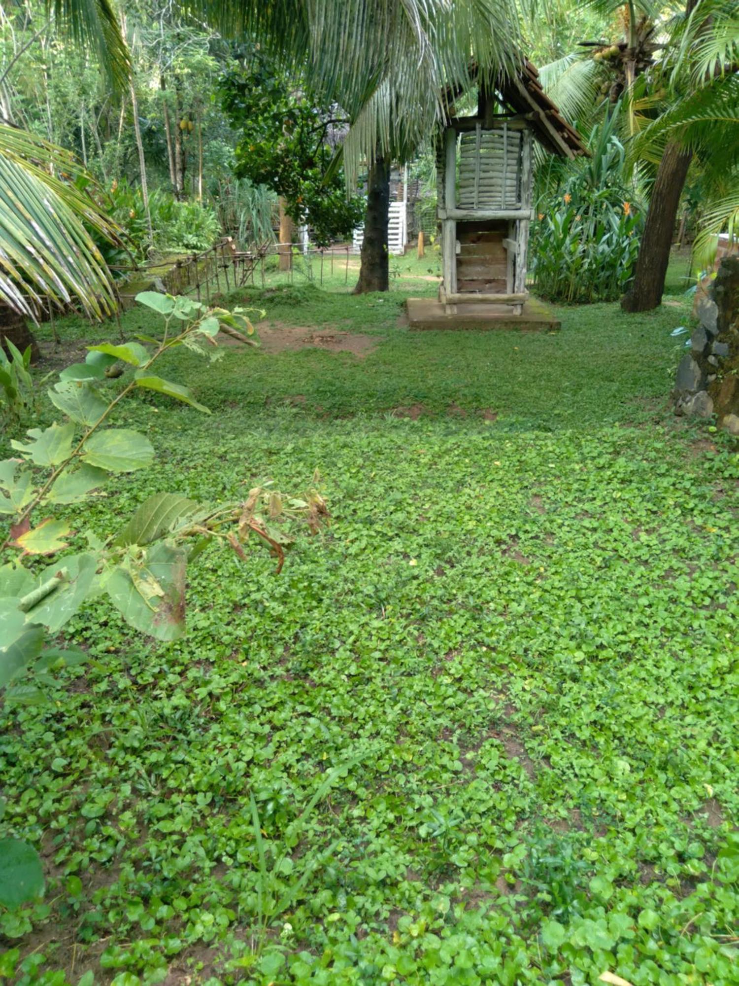Home In The Island Tangalle Luaran gambar