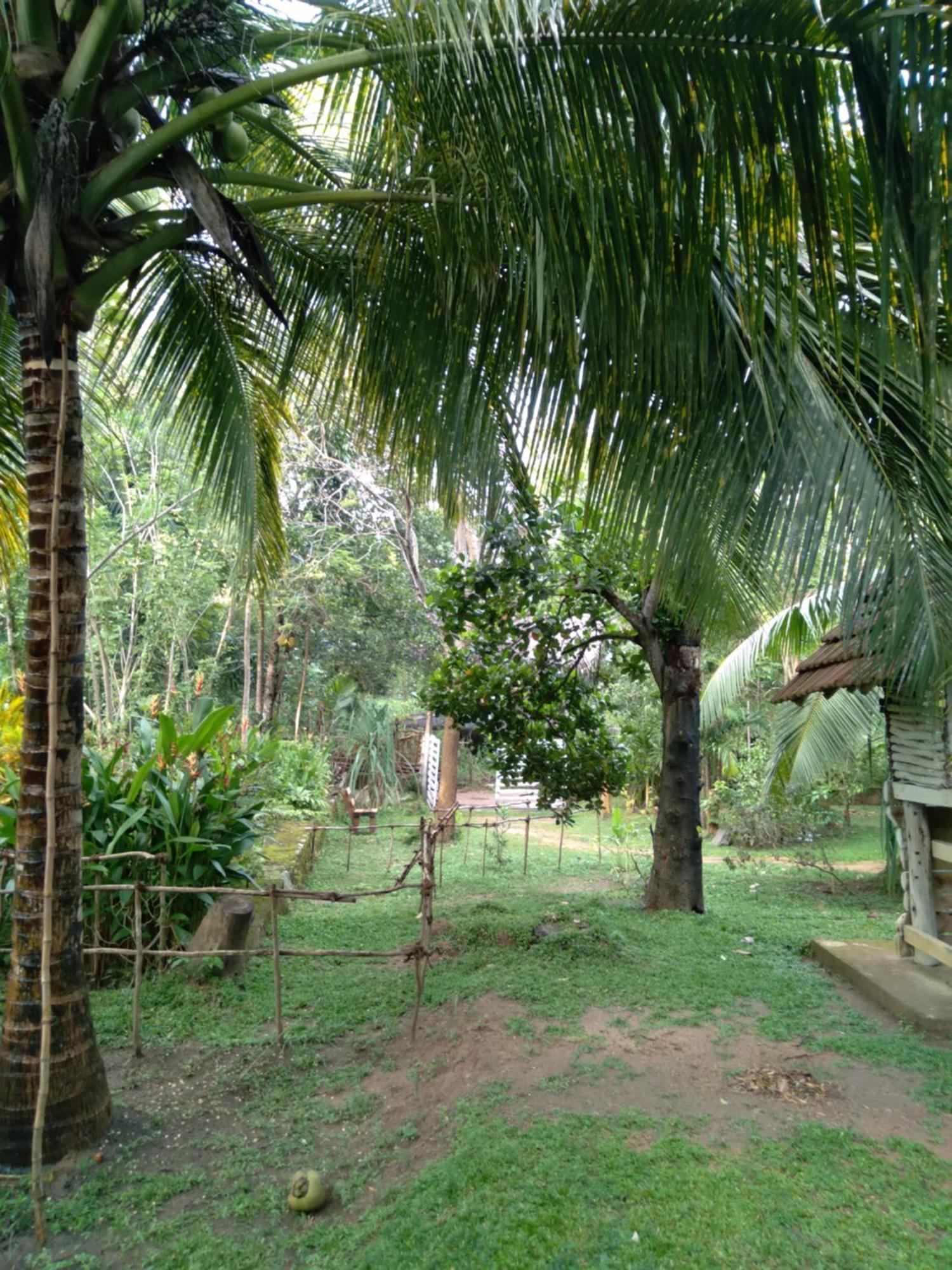 Home In The Island Tangalle Luaran gambar