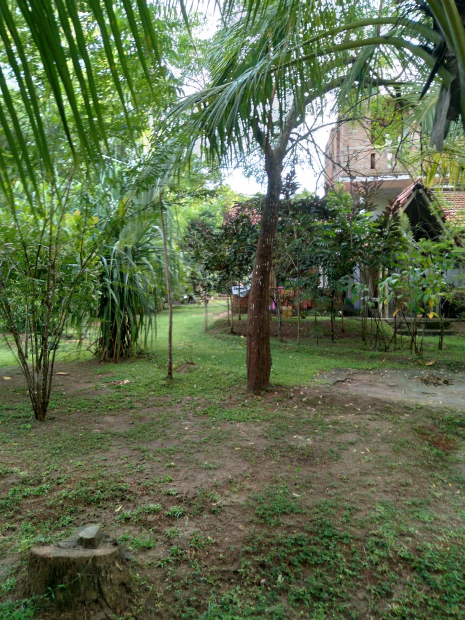 Home In The Island Tangalle Luaran gambar