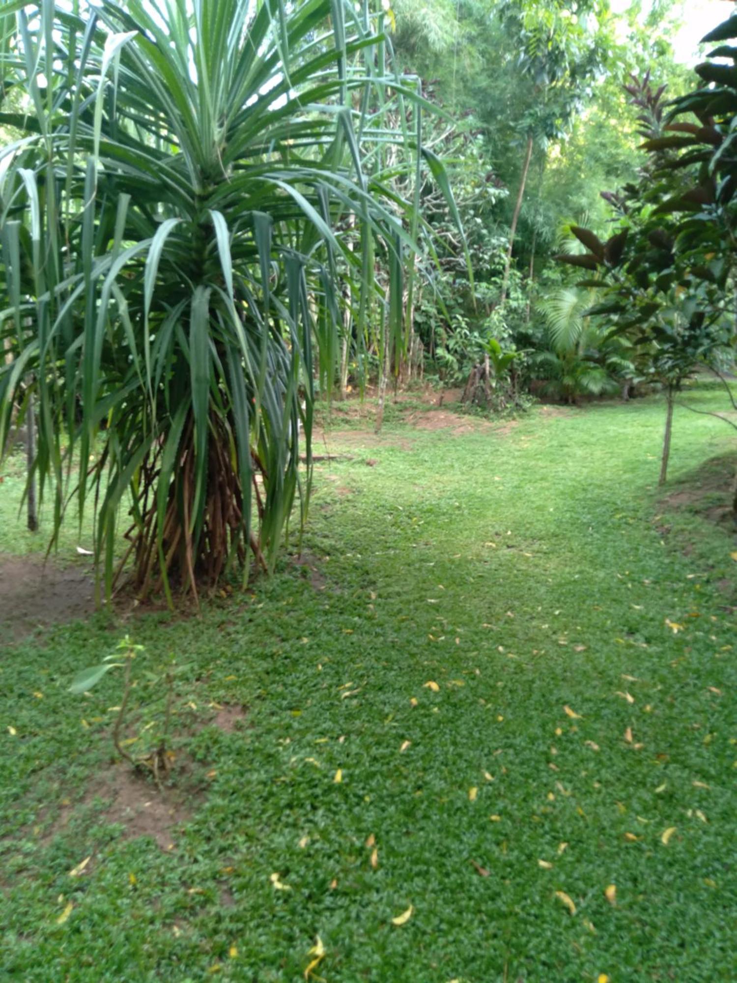Home In The Island Tangalle Luaran gambar